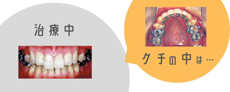 歯学博士　中川 学